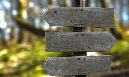 Unterstützte Beschäftigung