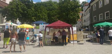 Infotag - Gesundheit, Selbsthilfe und Pflege